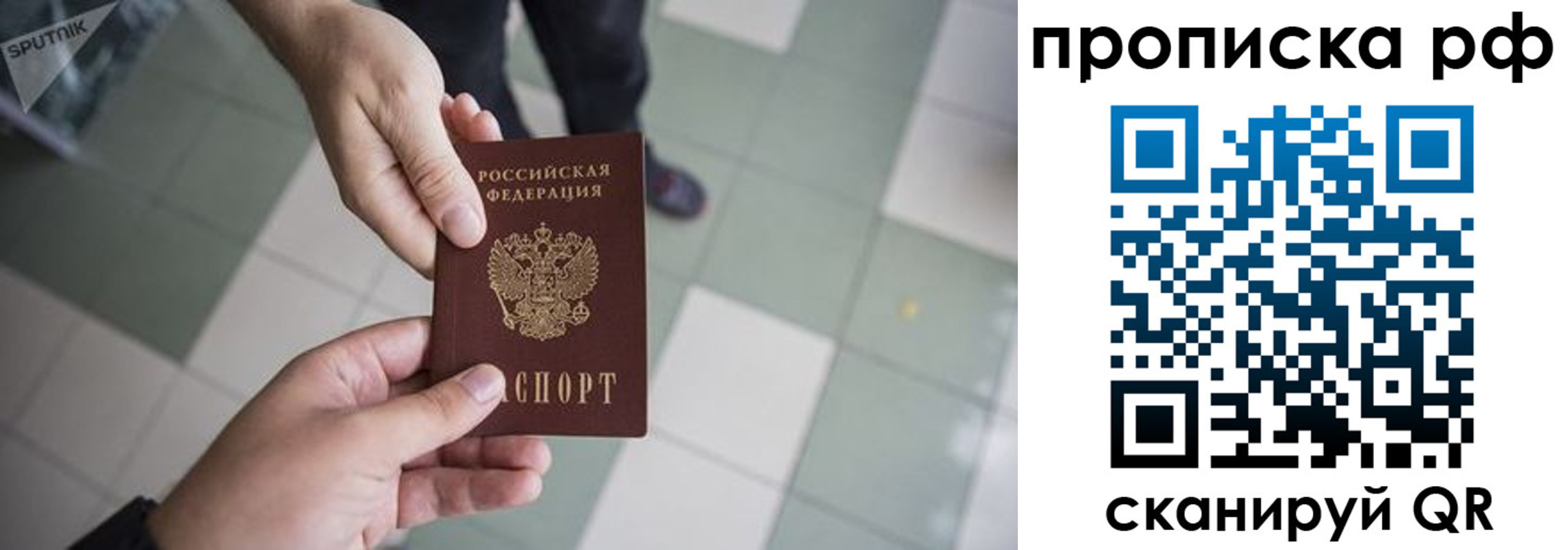 прописка гарантия в Вологодской области